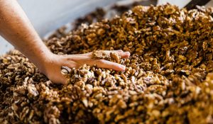 main plongée dans des noix