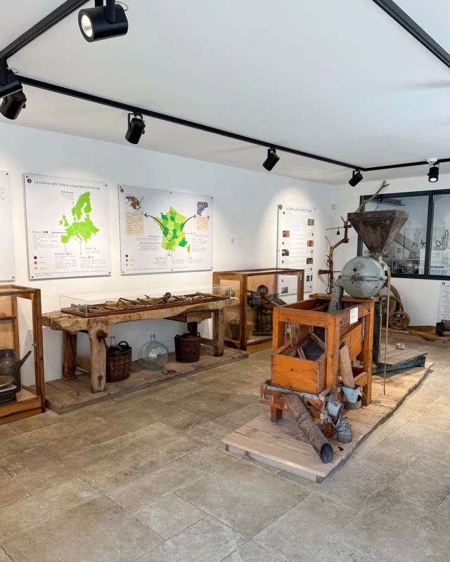 //ESPACE MUSÉOGRAPHIQUE//Curieux, passionné d’histoire ou simplement gourmand de découvertes ?Poussez les portes de notre musée et apprenez-en plus sur :🧑‍🌾 La culture des fruits à coque🌰 La fabrication artisanale de nos huiles👨‍👩‍👧‍👦 L’histoire de la famille Elias⚱️ Les objets anciens et archives, témoins du savoir-faire d’autrefoisVous apercevrez peut-être Véro et Marie-Charlotte en pleine préparation de nos gâteaux ou autres délices du moment ! 👉 Visite en accès libre pendant nos horaires d'ouverture...#MoulinDeLaVeyssière #EspaceMuséographique #PatrimoineVivant #HuilesArtisanales #TerroirDuPérigord #FruitsàCoque #MuséeGourmand #Dordogne #SavoirFaire #HistoireVivante #Famille #Héritage